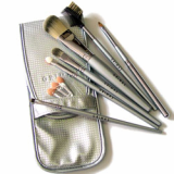 Silver Pocket Brush Set